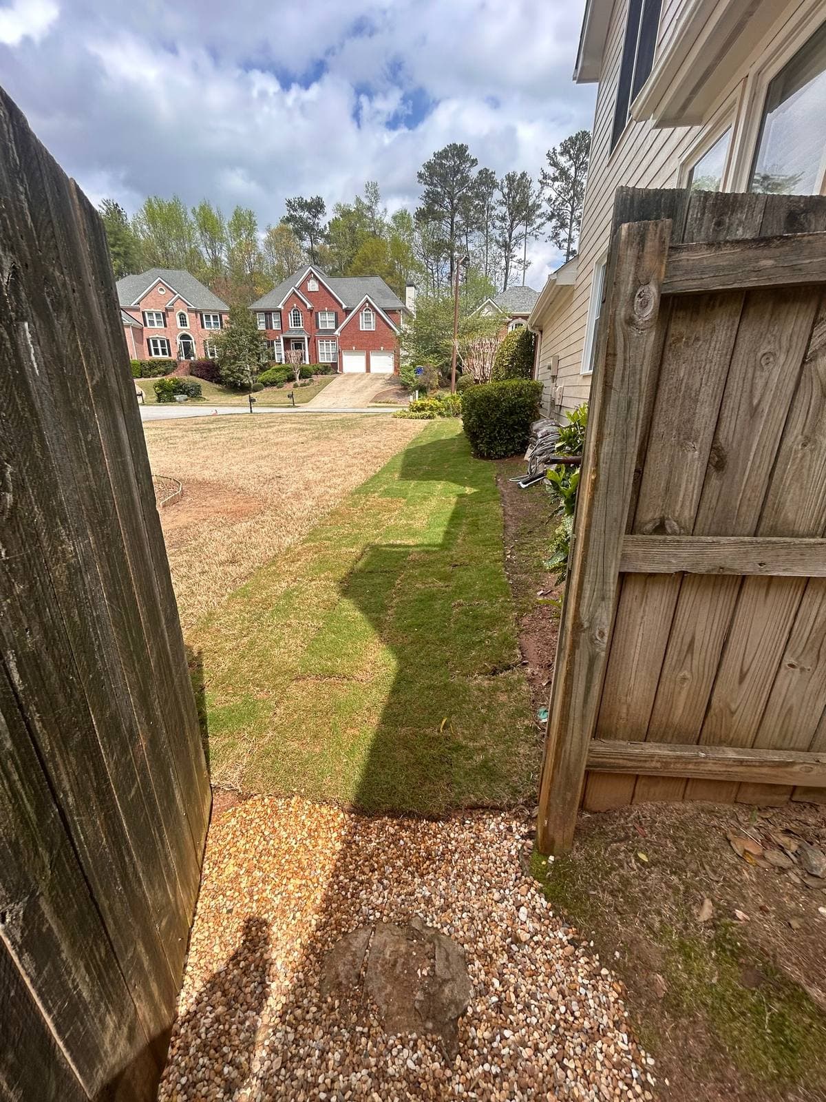 Lawn Restoration Project