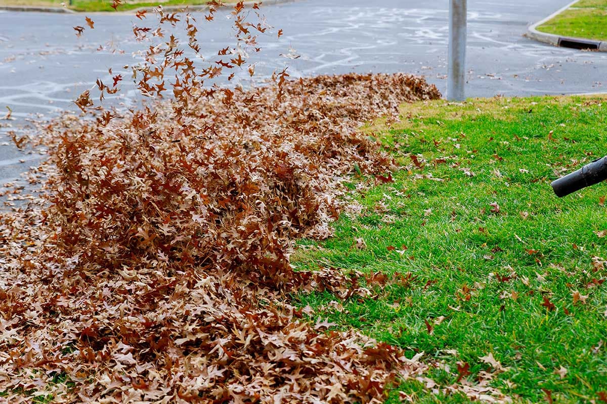 Fall Leaf Cleanup & Mulch Refresh