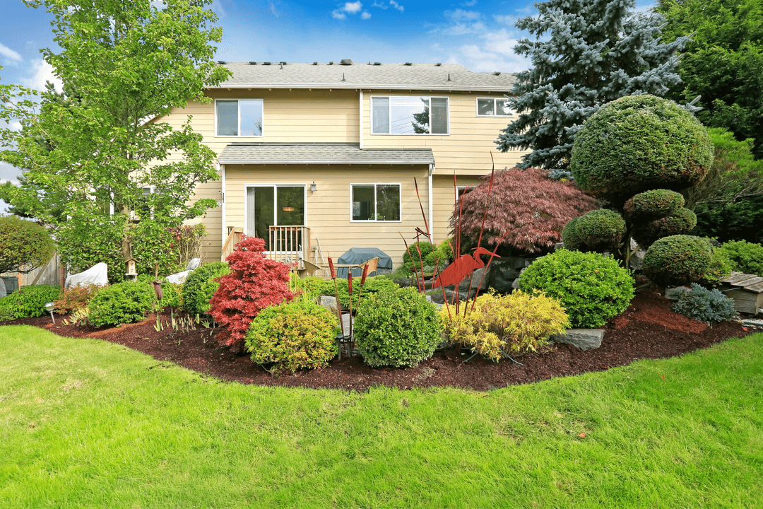 Complete Landscape Design with Mature Plants